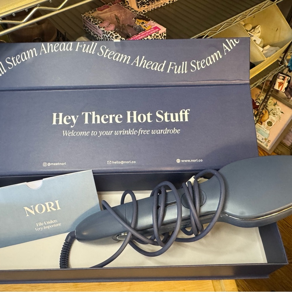 #301: Nori Blue Clothing Iron/Steamer go travel - no ironing board needed!